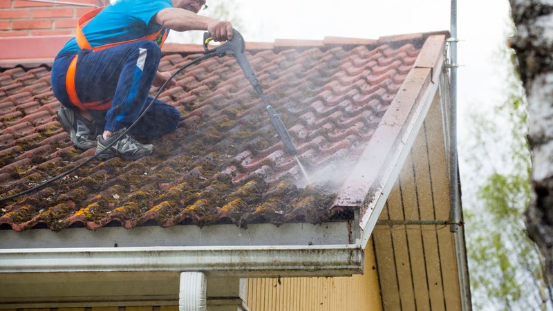 Do You Really Need to Clean Your Roof? The Importance of Roof Cleaning
