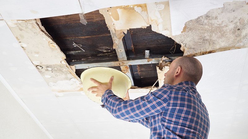 What To Do When Your Roof Begins To Leak?